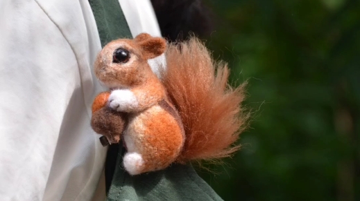 活动  百搭的小松鼠羊毛毡出个镜