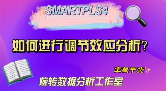 Download Video: SMARTPLS4-如何进行调节效应分析？