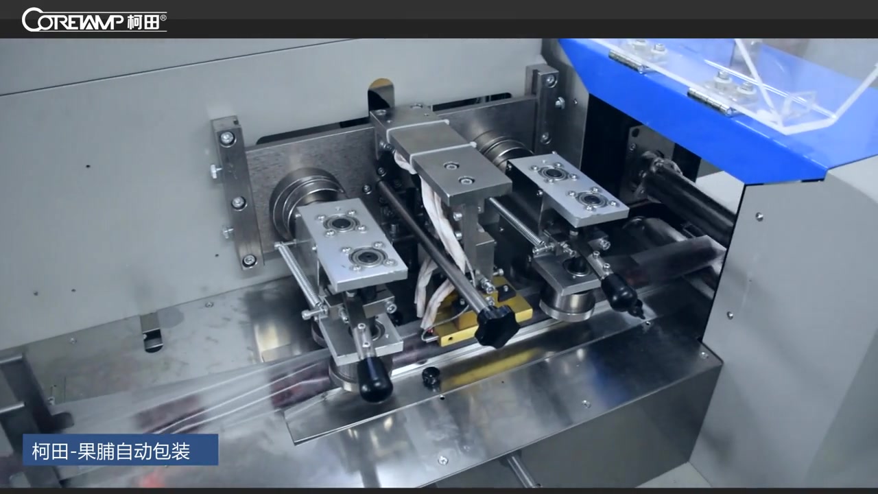 蜜枣自动包装机