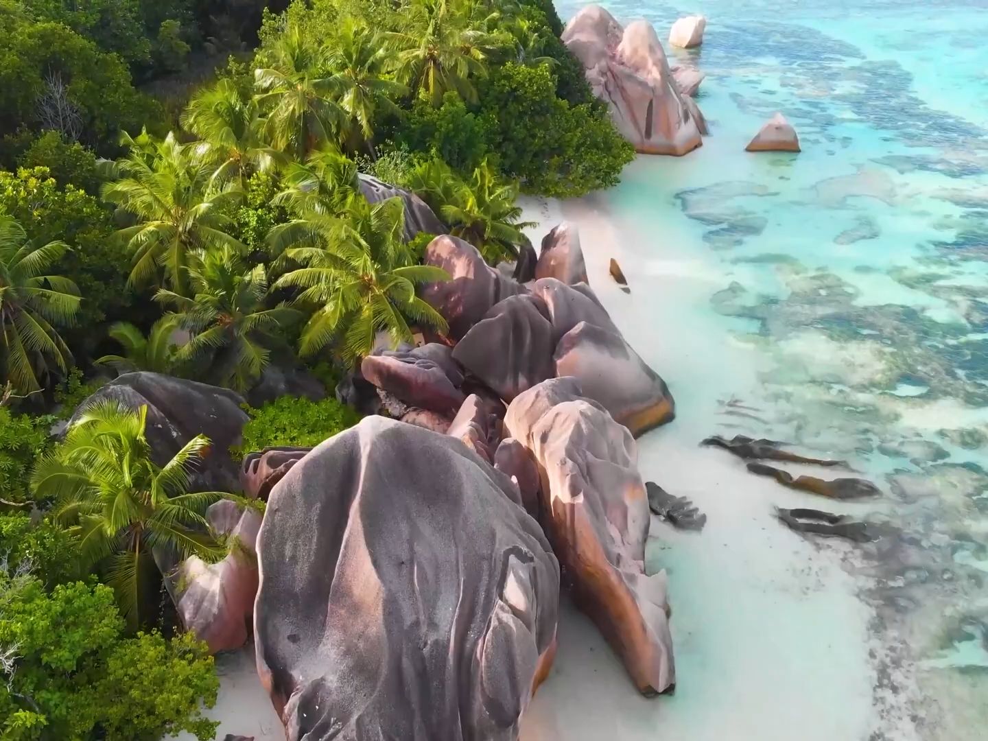 走遍塞舌尔群岛seychelles:美丽的风景和动听的音乐(2)