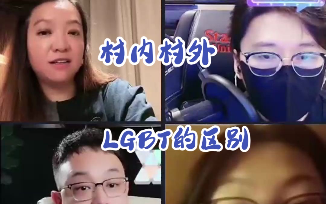 村内村外lgbt彩虹群体的区别哔哩哔哩bilibili