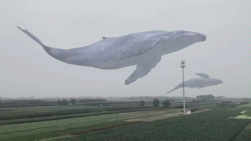 山鲸群到平原上了