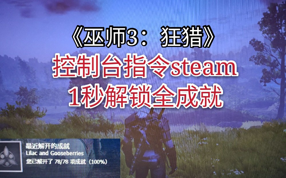 【巫师3】steam控制台指令解锁全成就,1秒白金爽到哔哩哔哩bilibili