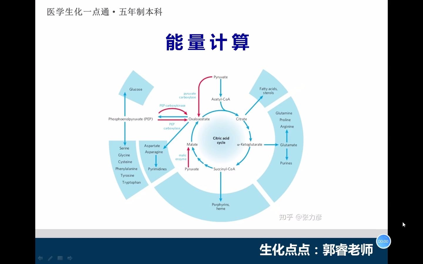 能量计算哔哩哔哩bilibili