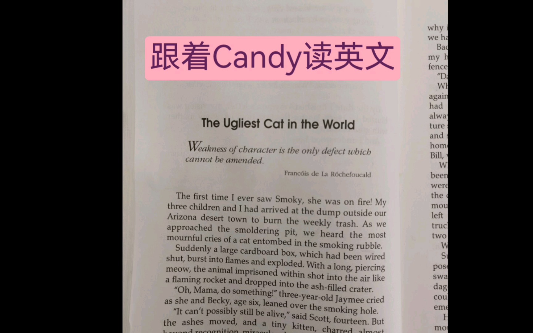 【跟着Candy读英文】The Ugliest Cat in the World哔哩哔哩bilibili