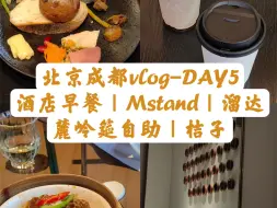 Download Video: 插播|尧棠公馆酒店早餐自助|健身|Mstand新品|逛超市|成都麓岭筵川粤自助|桔子酒店