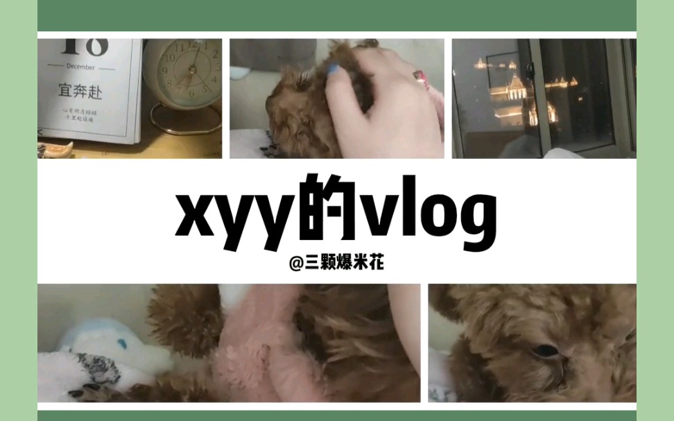 xyy的vlog|心有明月昭昭,千里赴迢遥哔哩哔哩bilibili