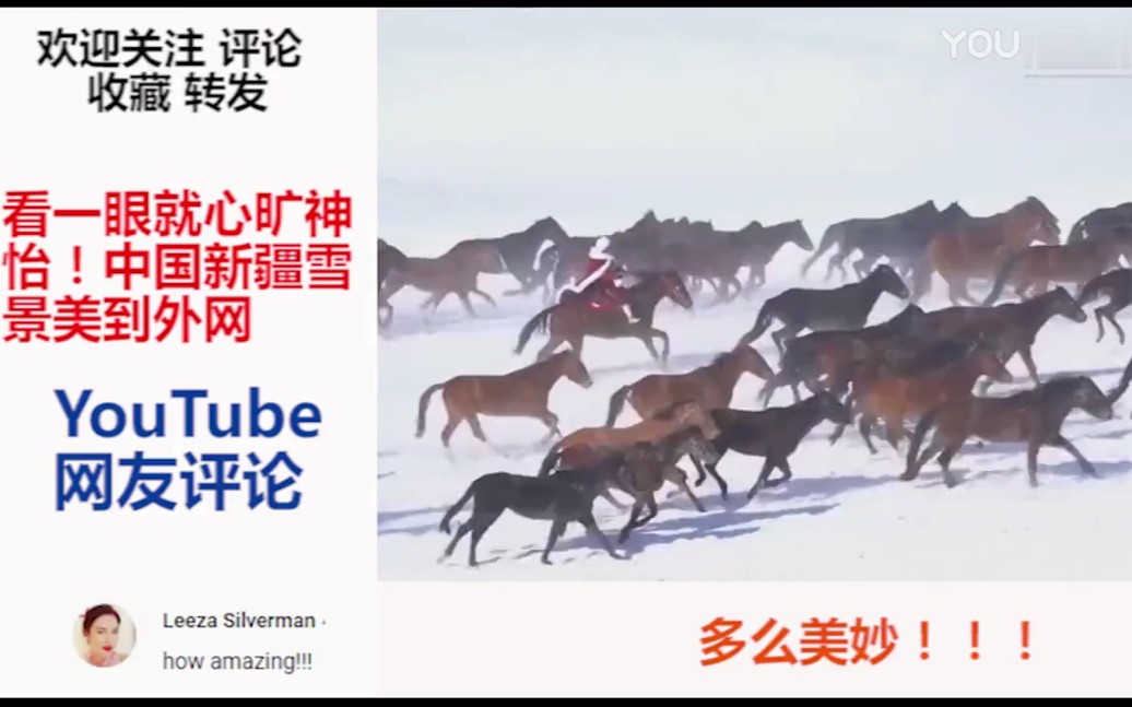 看一眼就心旷神怡!中国新疆雪景美到外网,YouTube网友评论哔哩哔哩bilibili