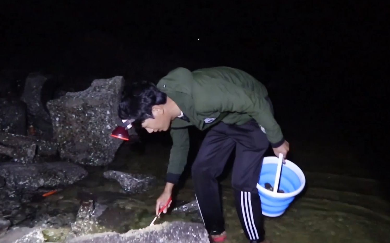 深夜赶海太惊险,阿聪被2斤重的大货吓到,抓到后直呼它太名贵了