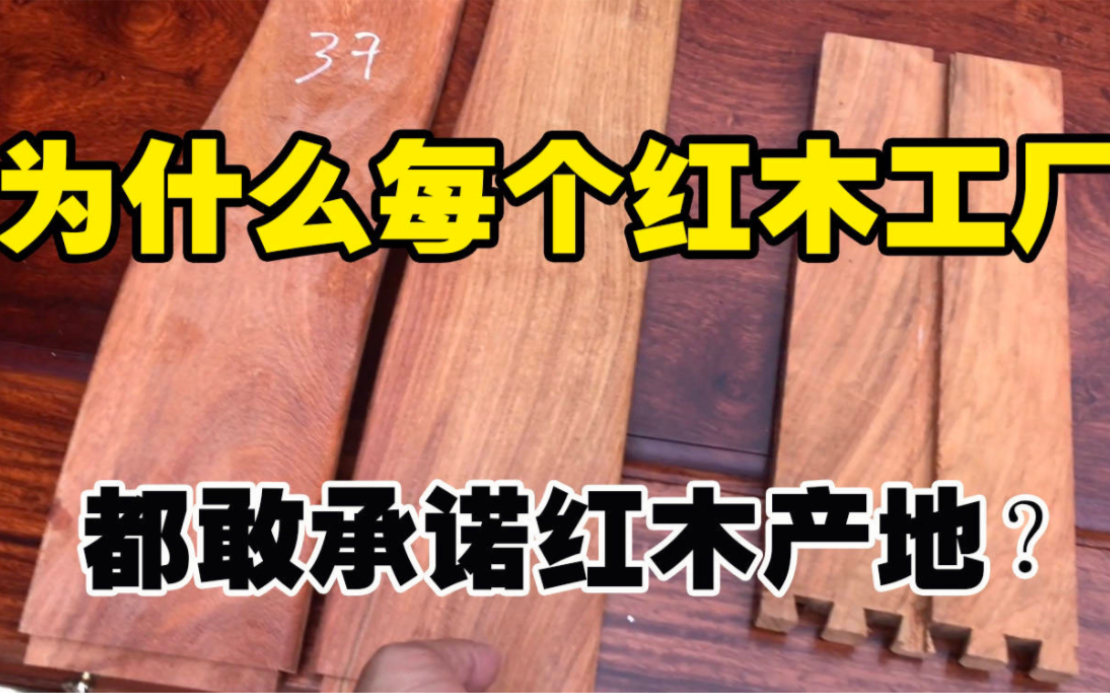 为什么每个红木工厂,都敢承诺红木产地?说到大果紫檀就是缅甸料?哔哩哔哩bilibili