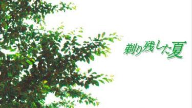 视觉系】【ゴールデンボンバー】映画「剃り残した夏」Movie+Making_哔