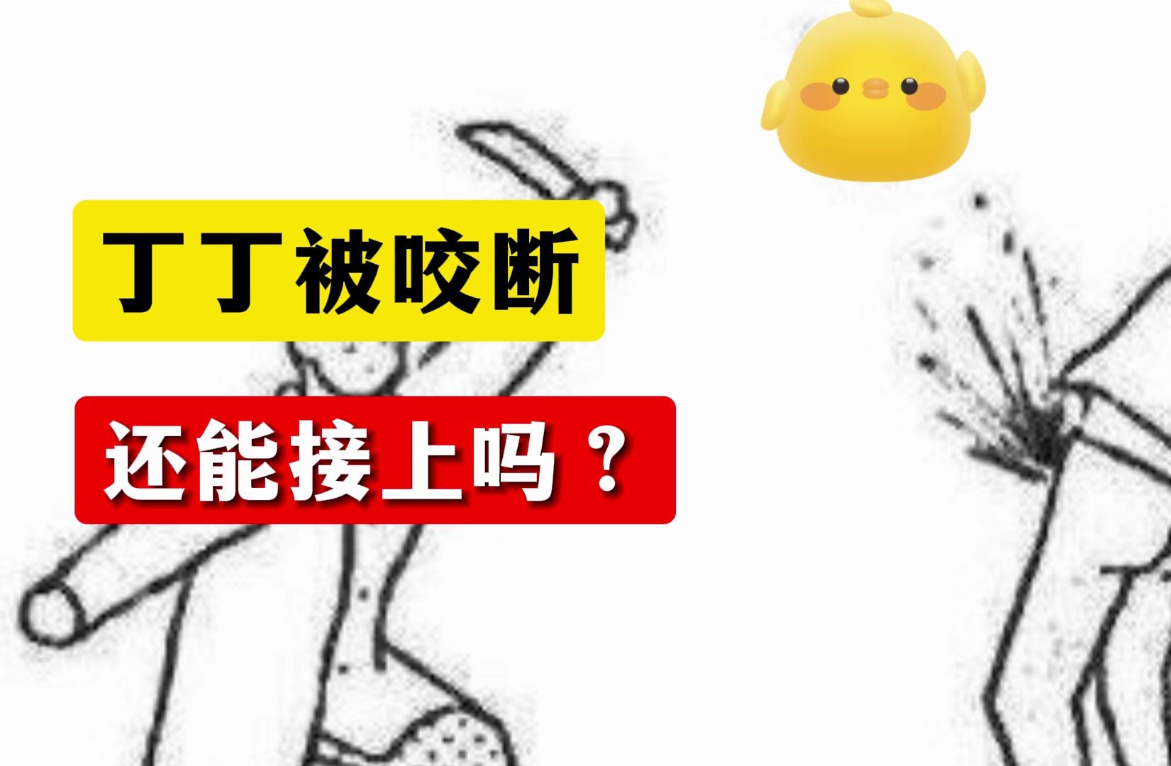 丁丁被咬断,还能接上吗?哔哩哔哩bilibili