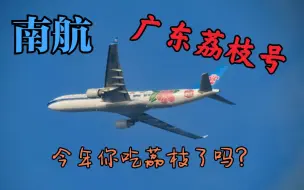 Download Video: 【深圳拍机】日啖荔枝三百颗，不辞长作岭南人。 广东荔枝号深圳起飞