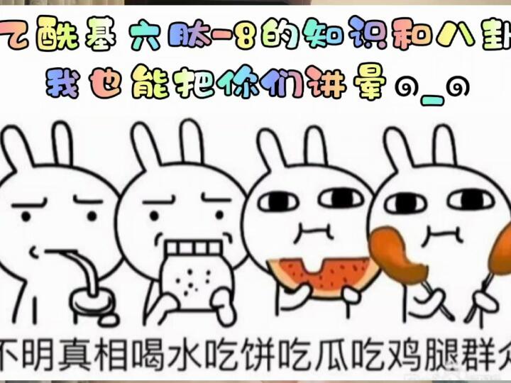 乙酰基六肽8的知识和八卦我也能把你们讲晕哔哩哔哩bilibili