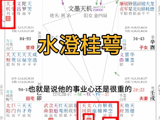 水橙桂萼,细心,耐心,思维敏锐有文化哔哩哔哩bilibili