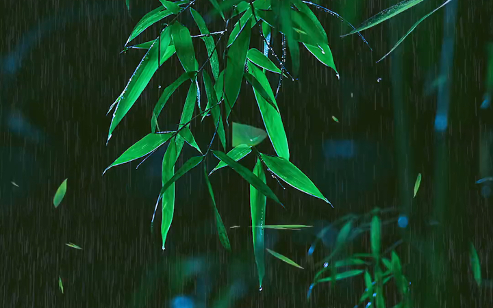 [图]落落清雨绿意间， 清新如释醉江南； 淡怜清雅知我梦.