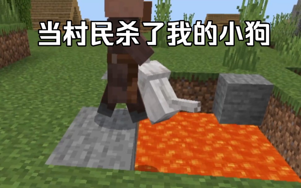 当村民杀了我的小狗！！！