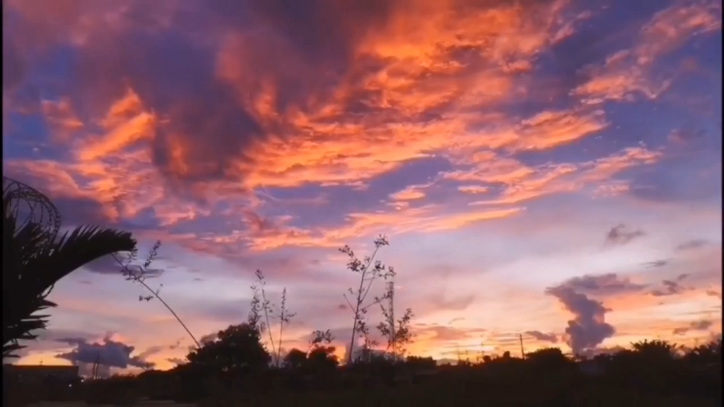 [图]凭栏念及，夕阳西下，幕烟四起江村。渐入夜，疏星映柳，新月笼云。酝造一生清瘦，能消几个黄昏。断肠时候，帘垂深院，人掩重门。