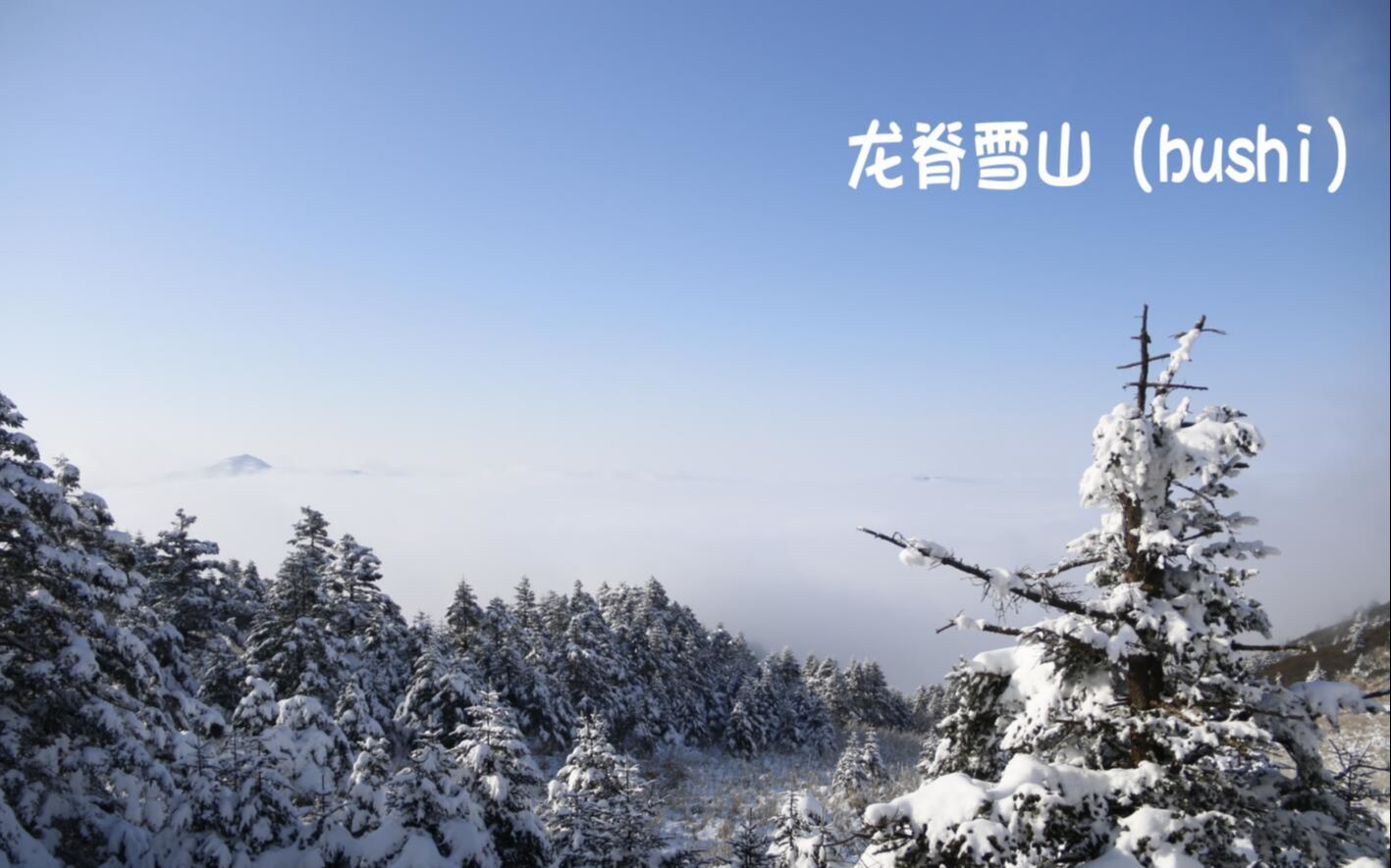 龙脊雪山(shennongjia)雪