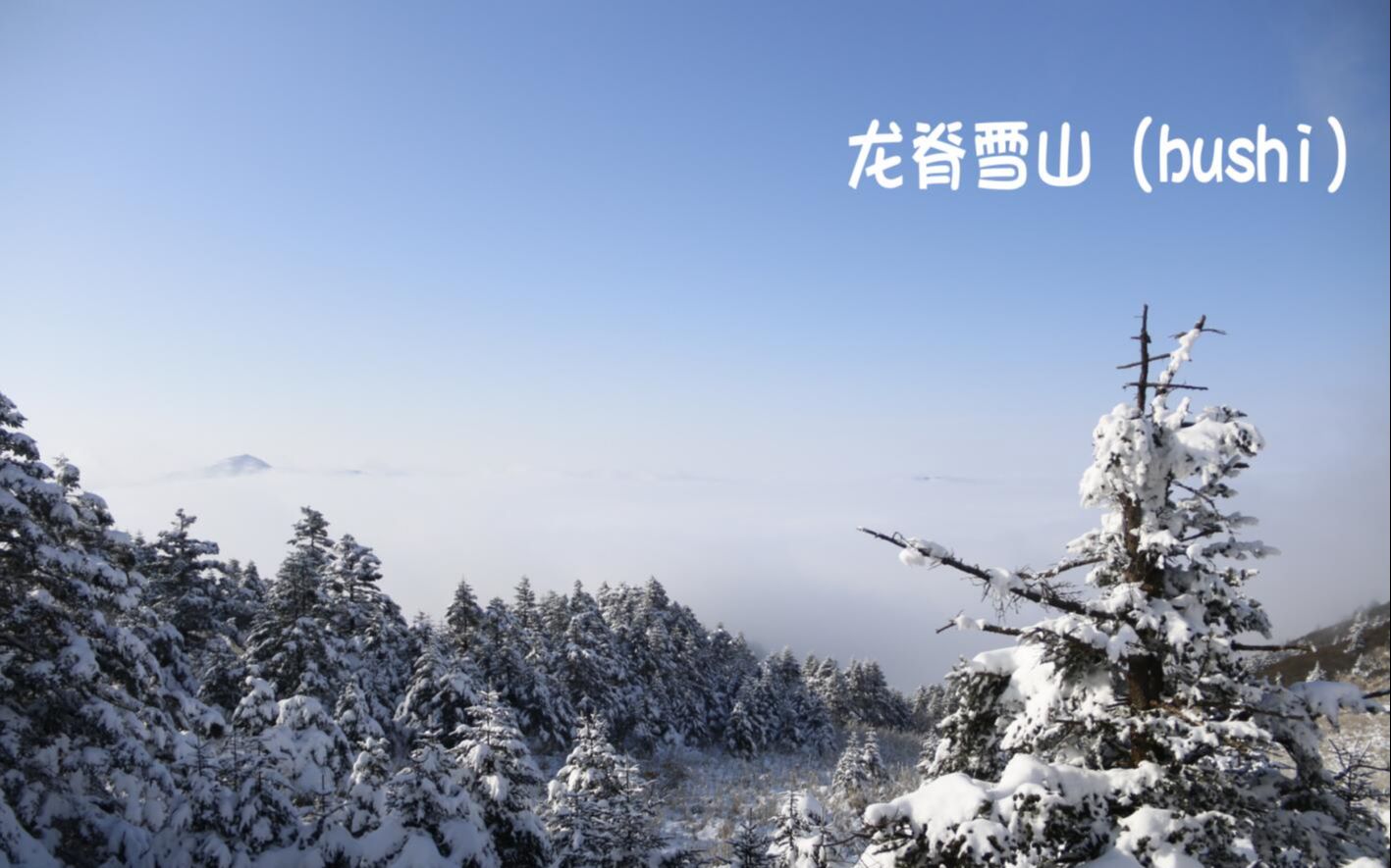 龙脊雪山图图片