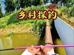 Download Video: 这大爷不想说了！！