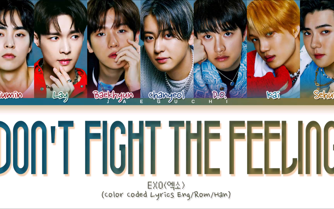 [图]EXO -Don't fight the feeling 歌词分配版(Color Coded Lyrics)