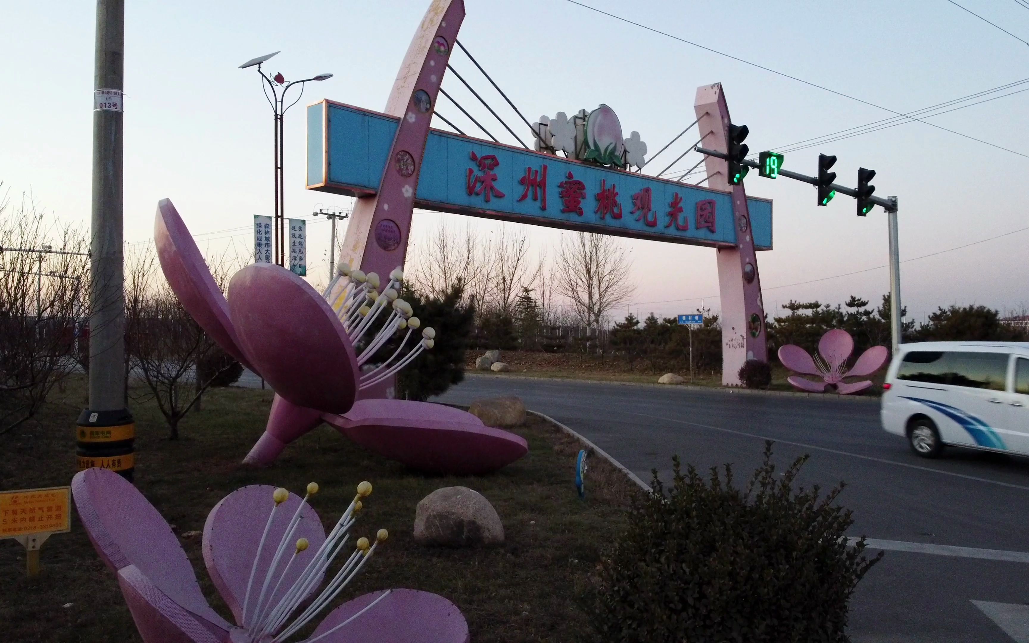 航拍蜜桃之乡河北深州市蜜桃观光园.桃园里居然还有丛林穿越娱乐项目