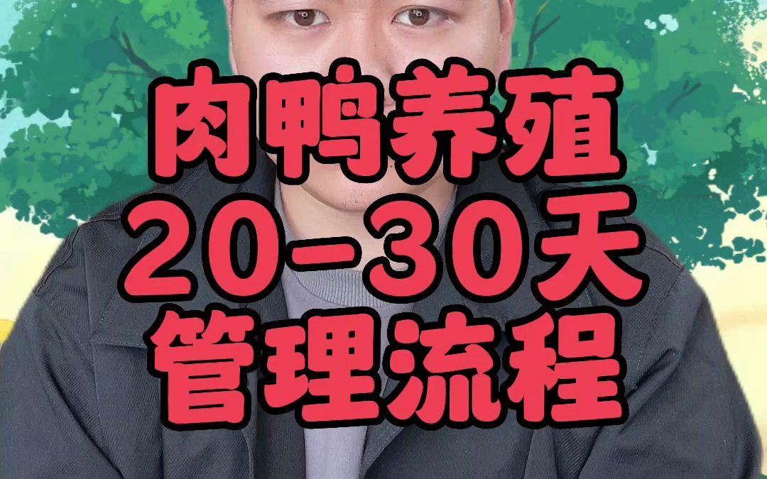 肉鸭养殖技术,2030天管理流程哔哩哔哩bilibili