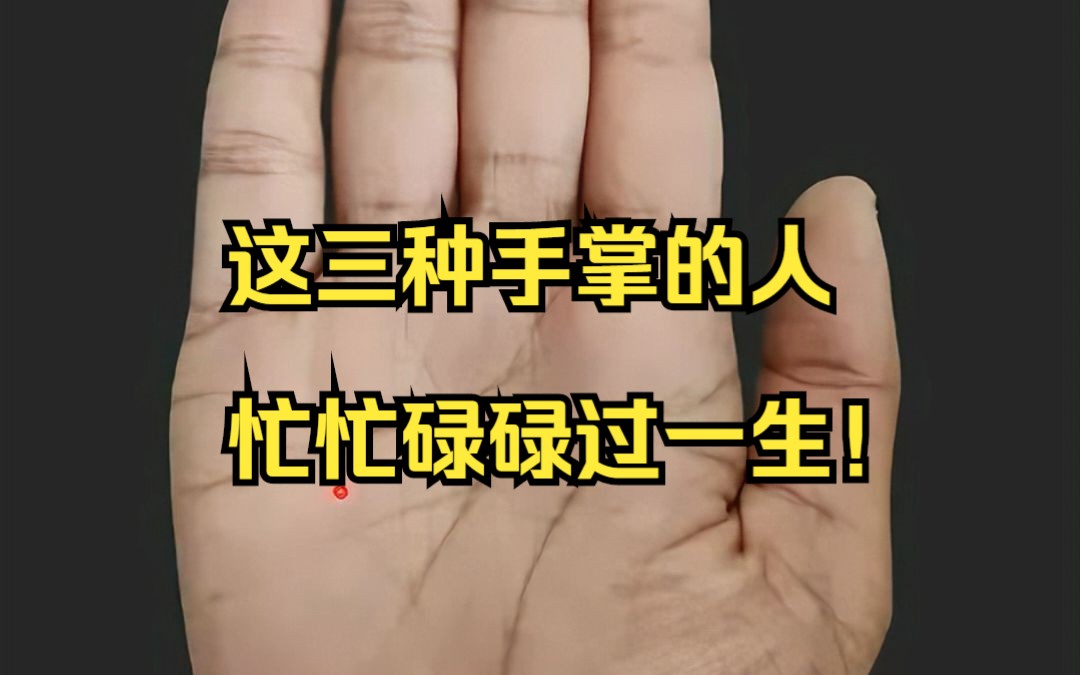 这三种手掌的人忙忙碌碌过一生!哔哩哔哩bilibili