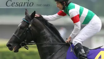 赛马 特别周之女 Cesario 西沙里奥 05日本橡树大赛 G1 最后600m33 3秒冲刺 哔哩哔哩 Bilibili