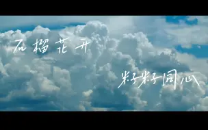 Descargar video: 石榴花开，籽籽同心