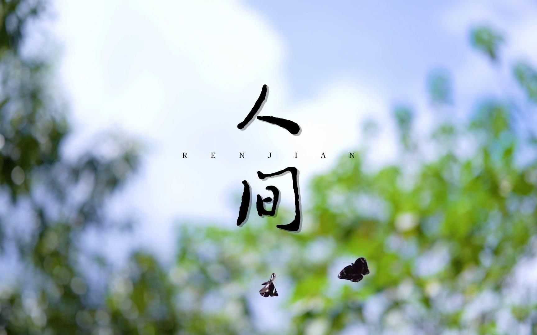 S1173王菲《人间》#原唱MV 唯美风景高清视频背景素材#可替换原版伴奏哔哩哔哩bilibili