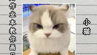 用作业本教你画只可爱的小猫