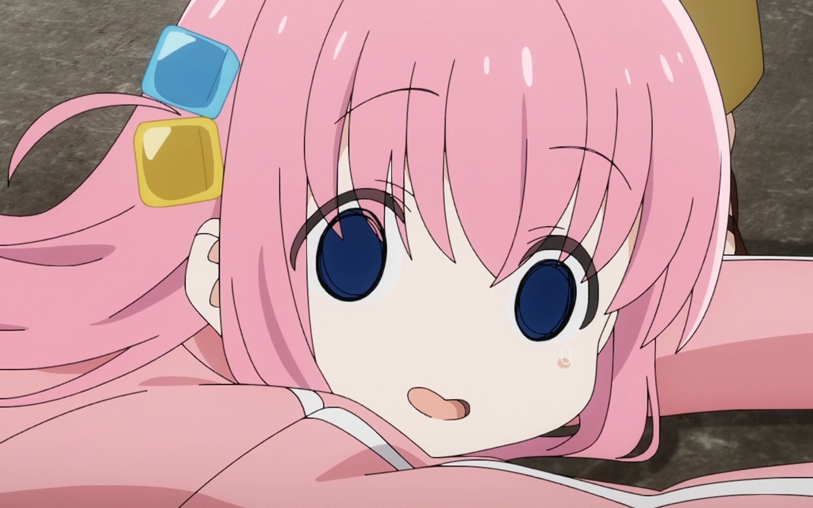 我们家波奇酱真是太可爱了