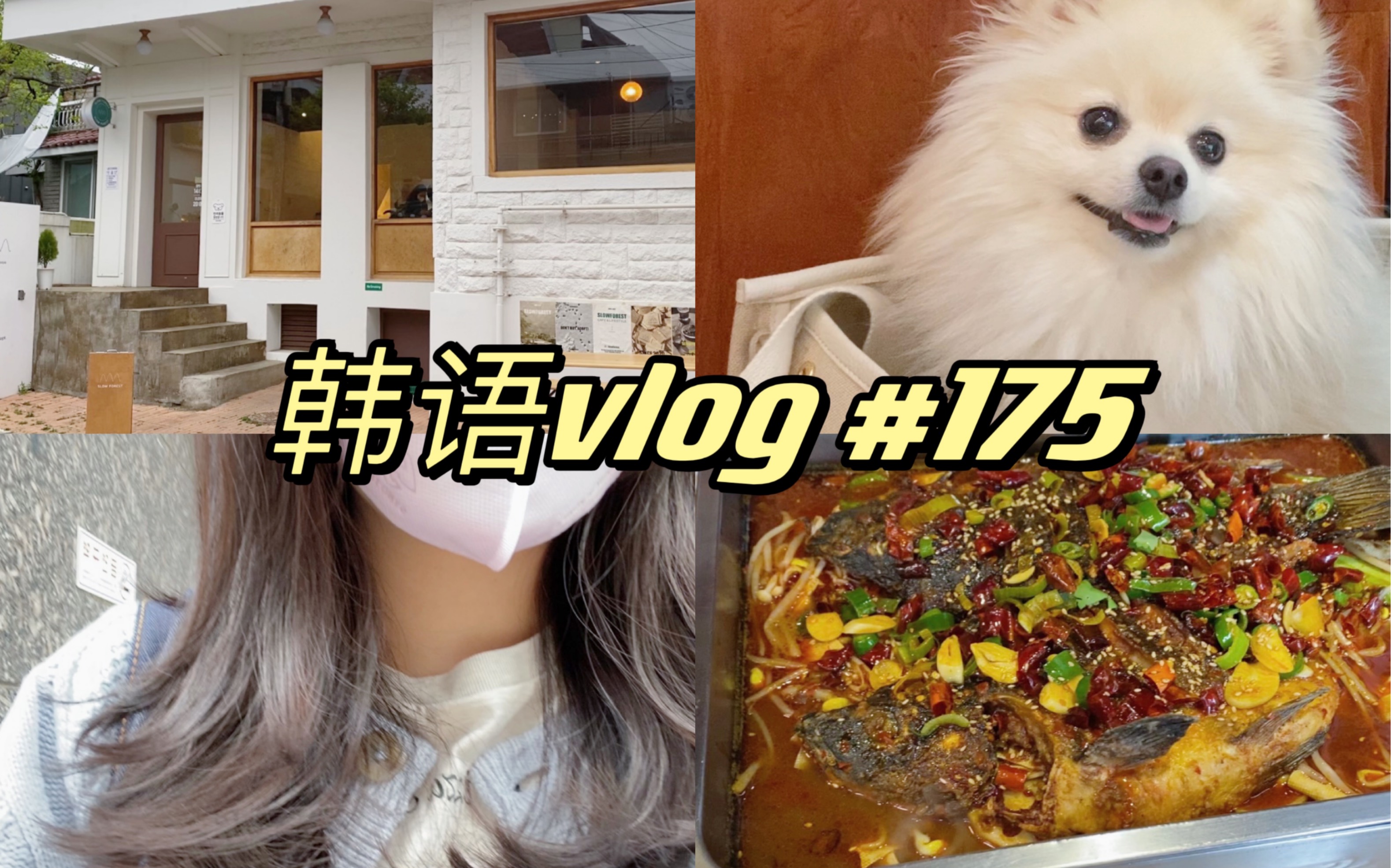 【韩语vlog/中韩字幕】韩国𐟇𐰟‡𗦗奸𘠣175和我过一天/韩国日常/韩语/中韩字幕/双语字幕/韩语vlog/闲聊 吐槽/建大烤鱼/和𐟐𖧎駚„一天/奶茶哔哩哔哩...