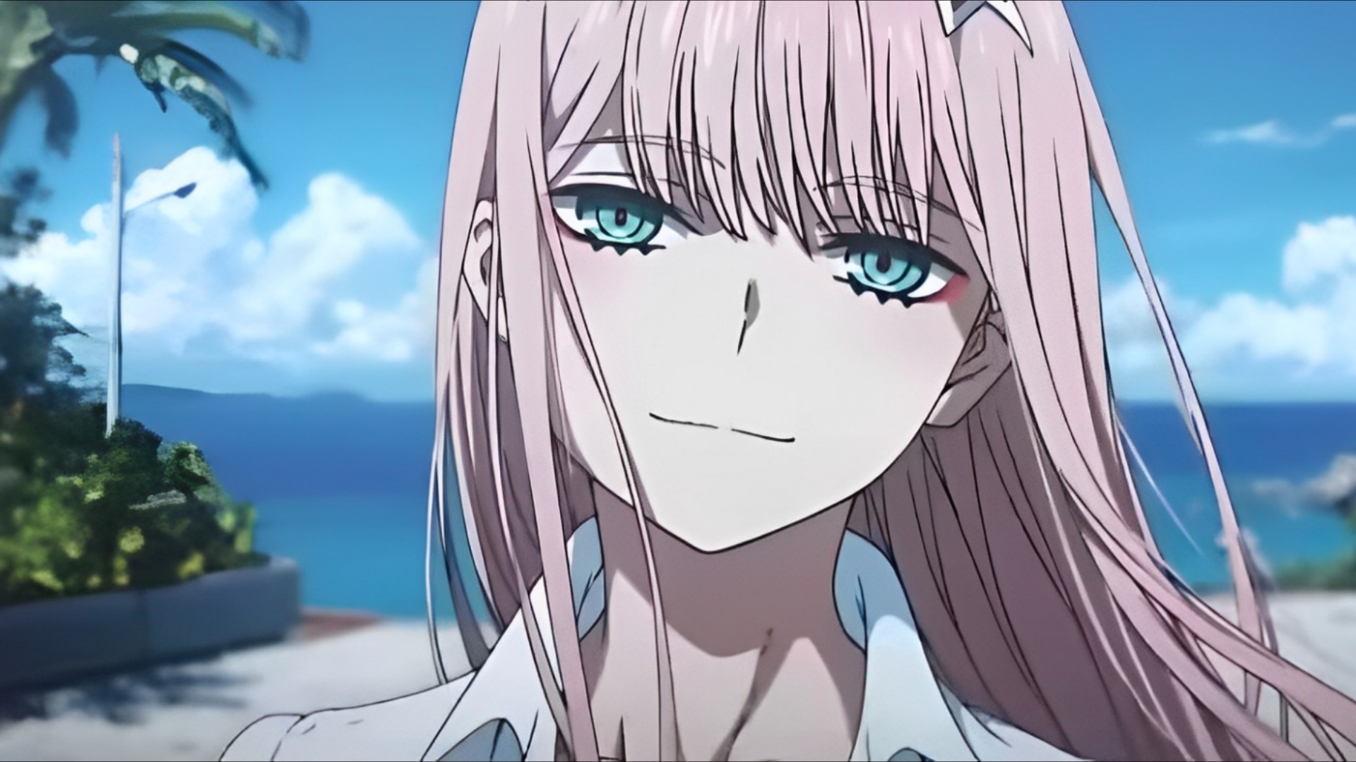 【国家队02】寻找过去的记忆