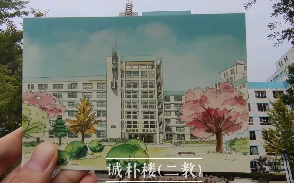 【甘农风光】甘肃农业大学校园风景打卡视频哔哩哔哩bilibili