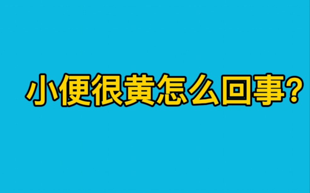 小便发黄怎么回事?哔哩哔哩bilibili