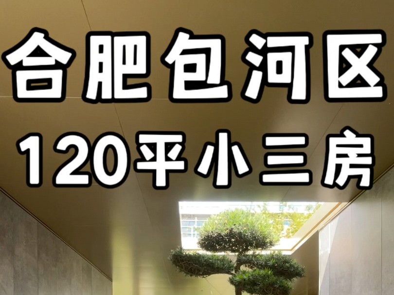 合肥包河区上海路旁120平小三房220万左右#合肥大平层#合肥新房推荐#合肥改善住宅哔哩哔哩bilibili