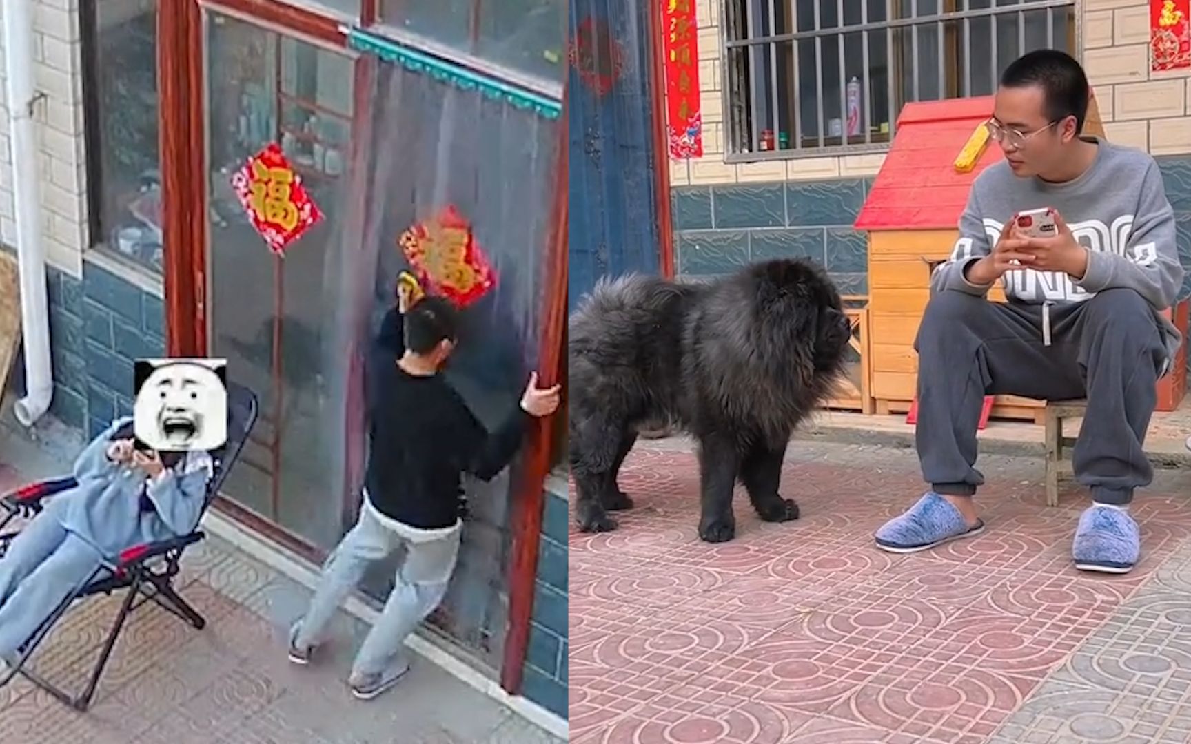 姐姐嘲笑直不起腰,见狗子网友憋不住笑:一人一狗还对视了一会,狗想了