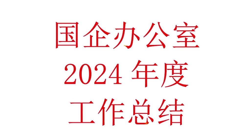 国企办公室2024年度工作总结哔哩哔哩bilibili