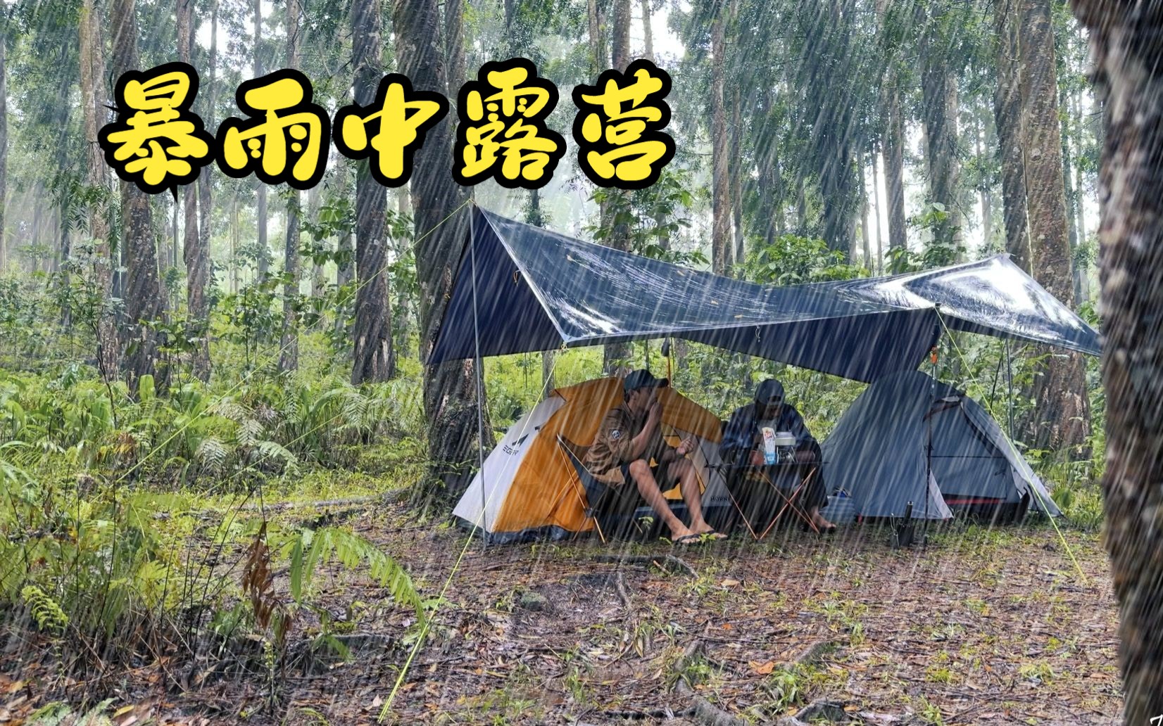 [图]【雨中露营】不是独自露营 • 在倾盆大雨和暴雨中露营 • 在大雨中放松露营