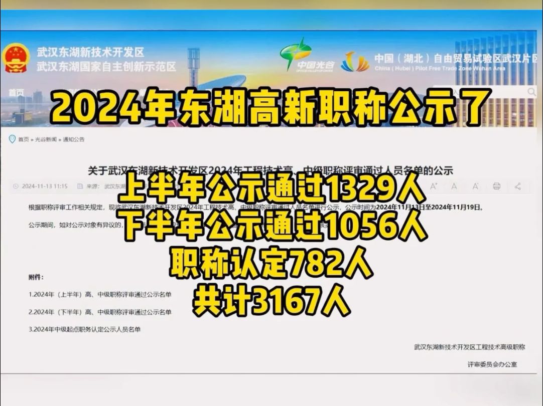 2024年东湖高新中级、高级职称公示啦!!哔哩哔哩bilibili