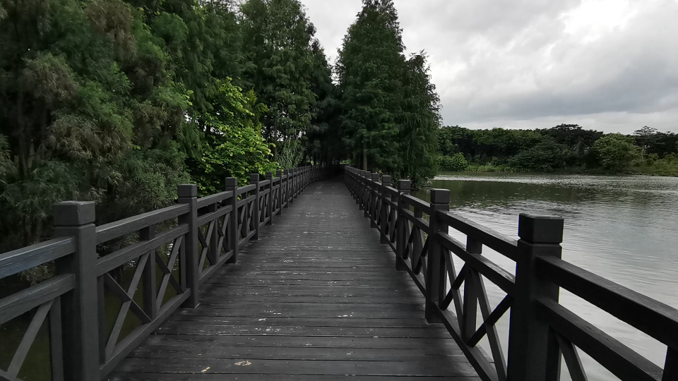 静谧的连廊水上风光广州海珠湖