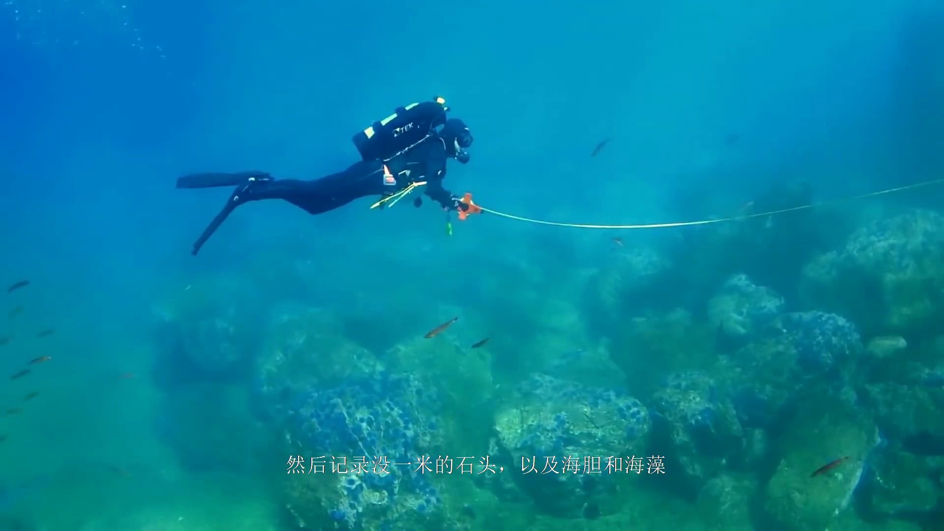 [图]保护海洋的工作——海洋生物学家