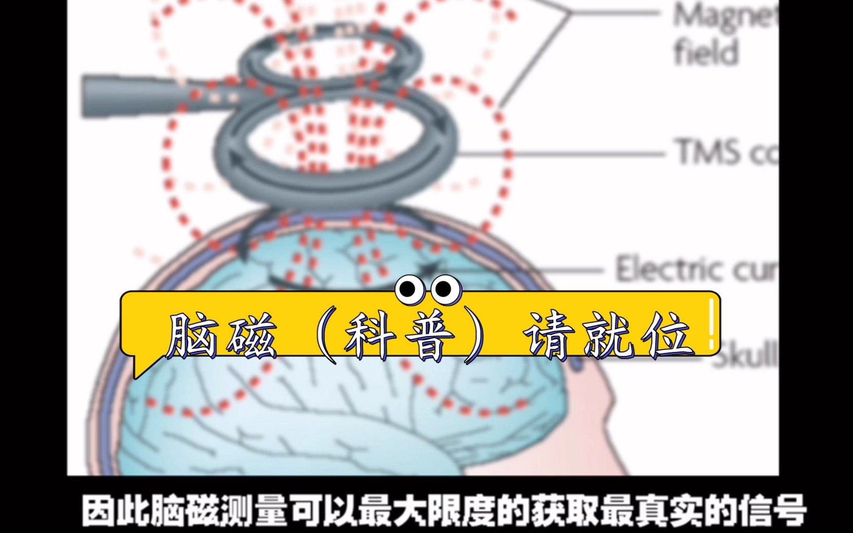 科普一下我刚搞了两个月就换了的研究方向脑磁!(单纯科普(别给我老师看见查我还有空做视频))哔哩哔哩bilibili