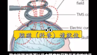 科普一下我刚搞了两个月就换了的研究方向_脑磁！（单纯科普（别给我老师看见查我还有空做视频））