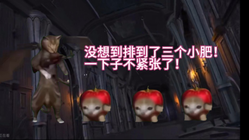 【ff14/猫meme】天才豆芽t第一次单排下本的故事