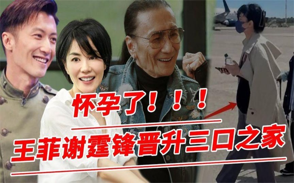 王菲怀孕了谢霆锋再次喜当爸?淮公公露面,满脸笑容心情好!