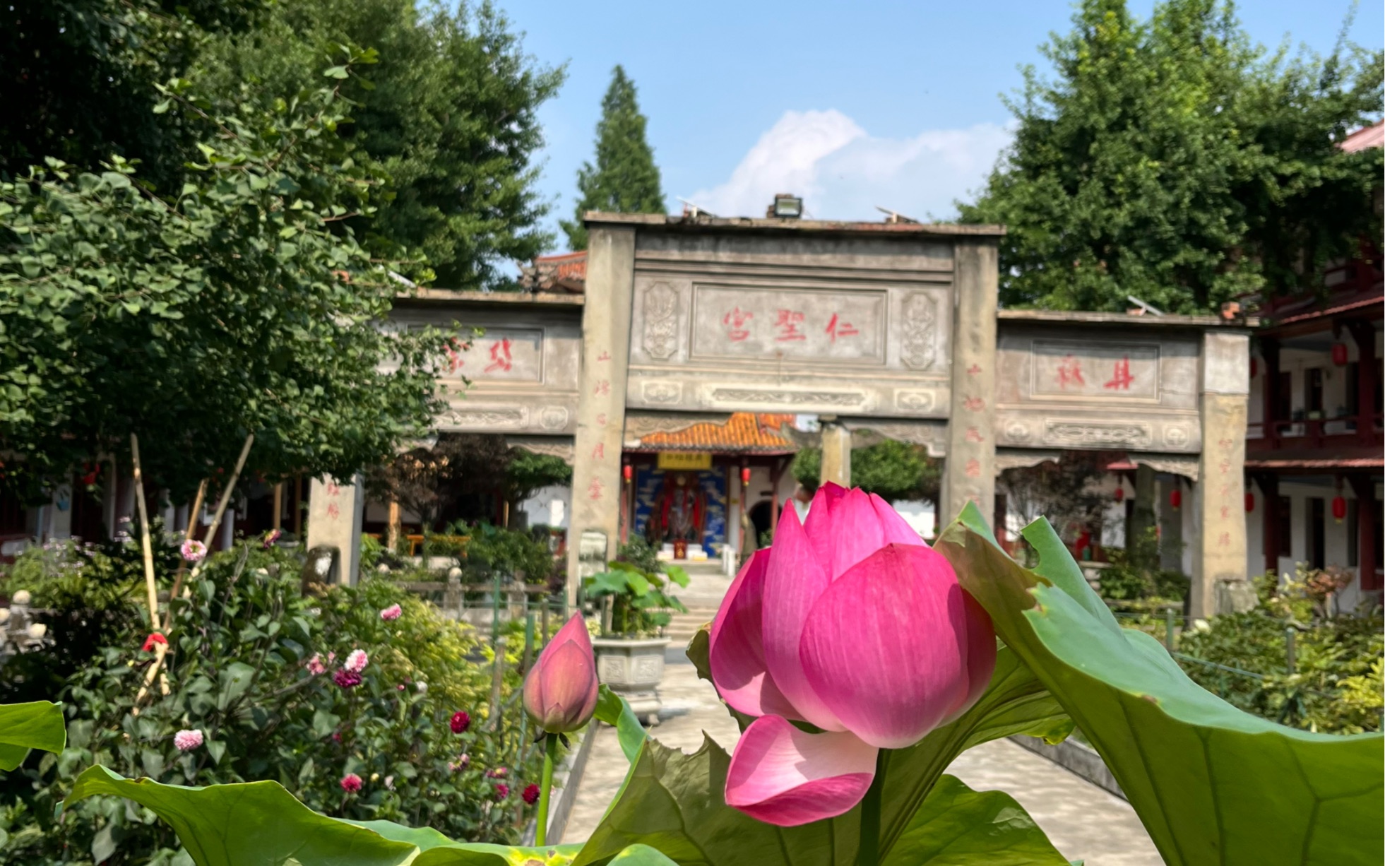 日常|彭州丹景山 第一次感受到体力不支 加强锻炼啊